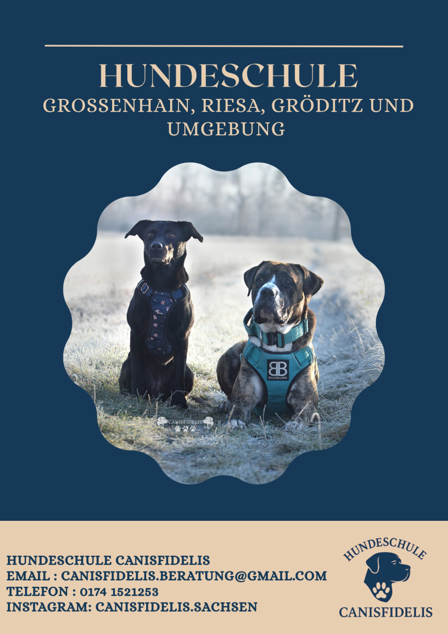 Hundeschule Riesa, Hundeschule Großenhain, Hundeschule Gröditz