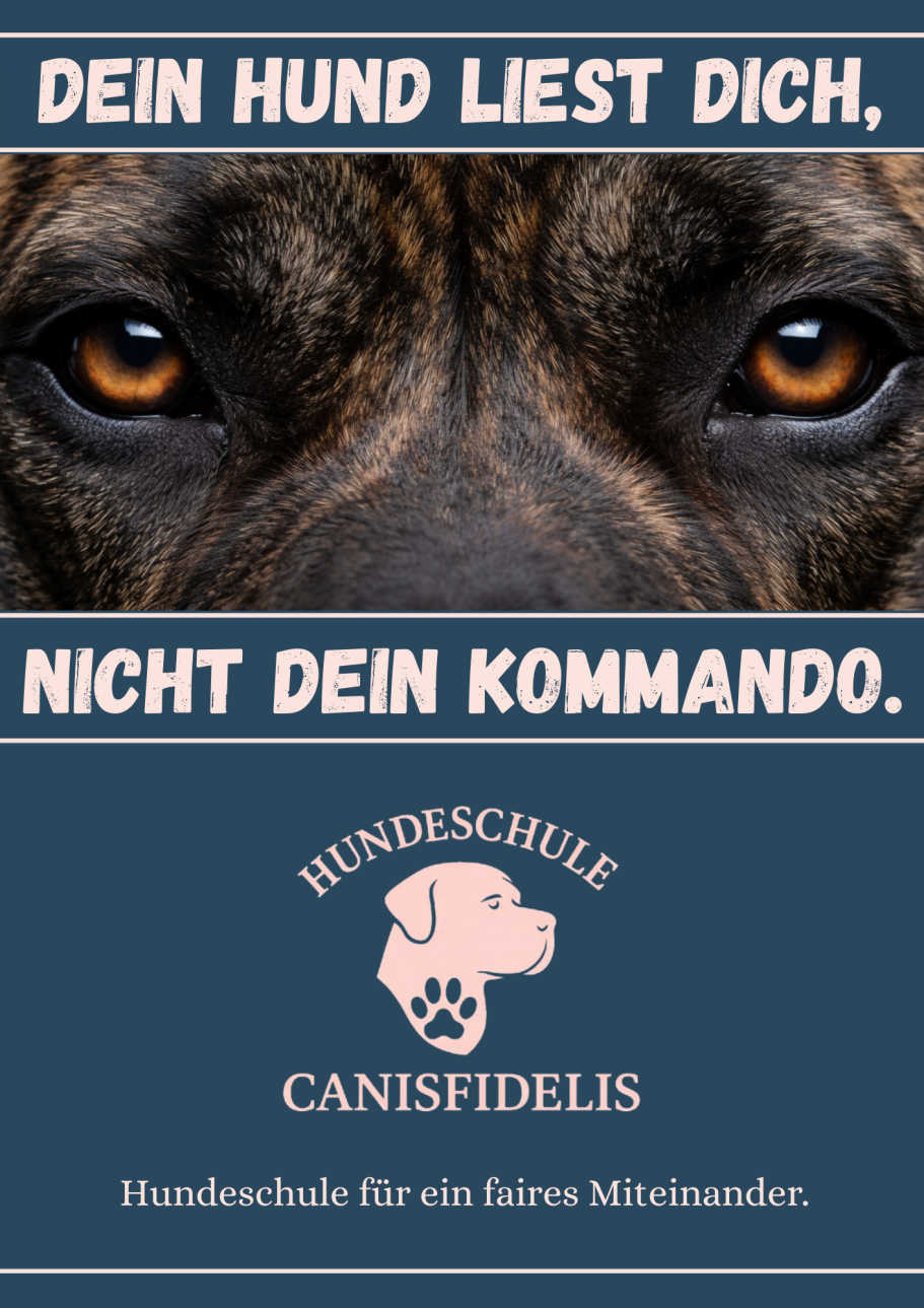 Hundeschule Riesa, Hundeschule Großenhain, Hundeschule Gröditz, Hundeschule Elsterwerda