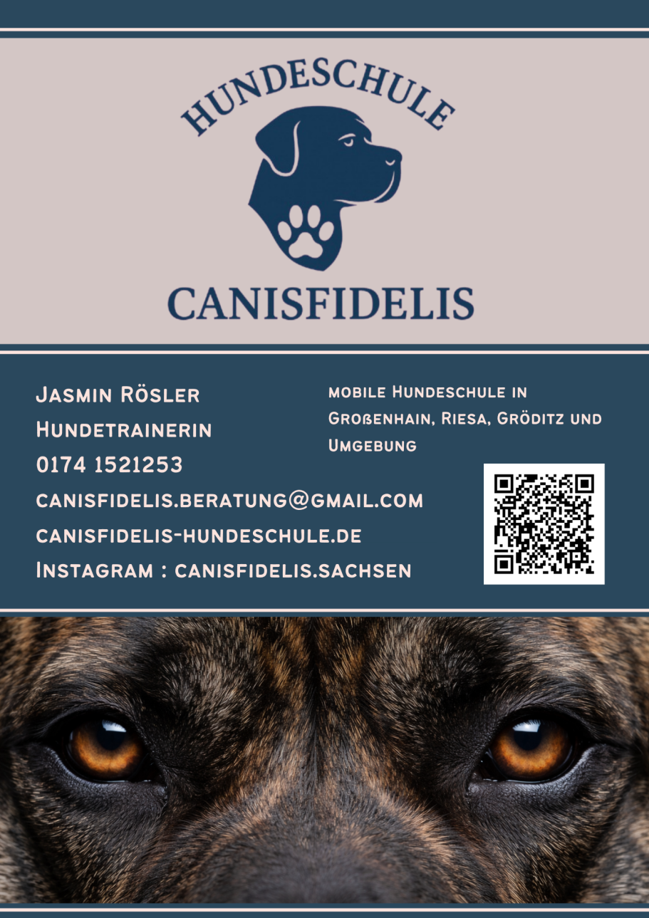 Hundeschule Riesa, Hundeschule Großenhain, Hundeschule Gröditz