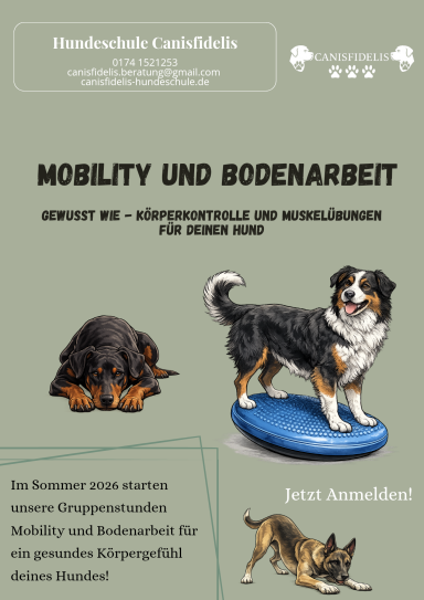 Hundeschule Gröditz
